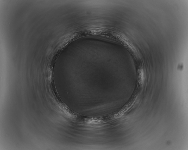 X0000096940471200802221324