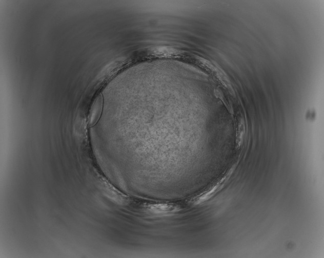 X0000096940473200802221324