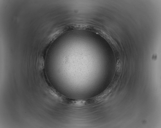 X0000096940474200802221324