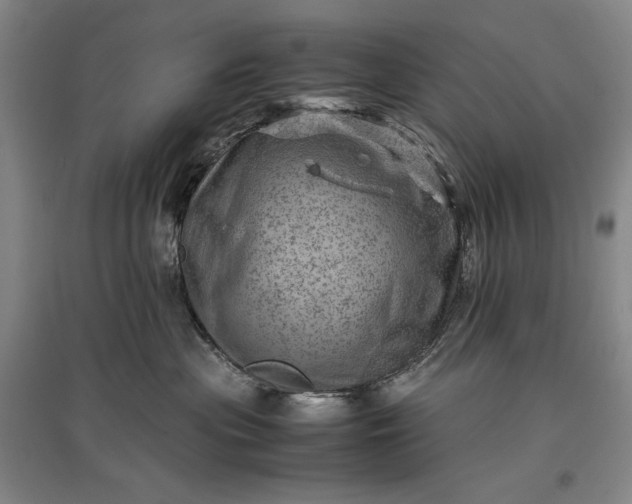 X0000096940477200802221324