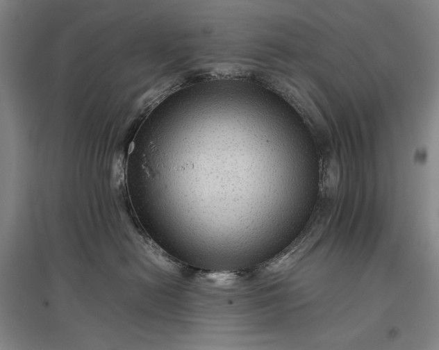 X0000096940478200802221324