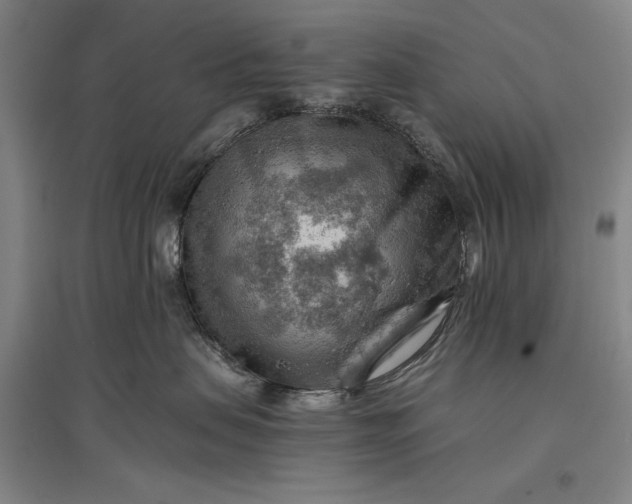 X0000096940479200802221324