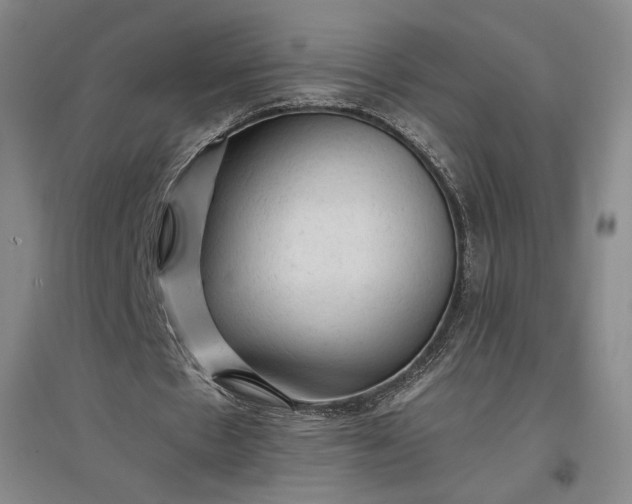 X0000096940481200802221323