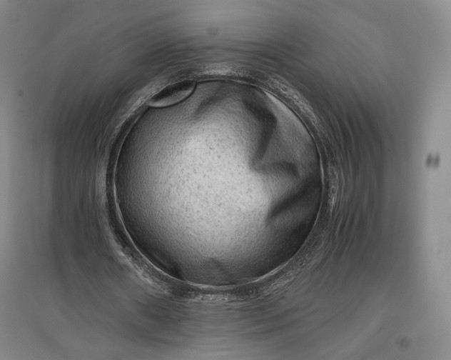 X0000096940482200802221323