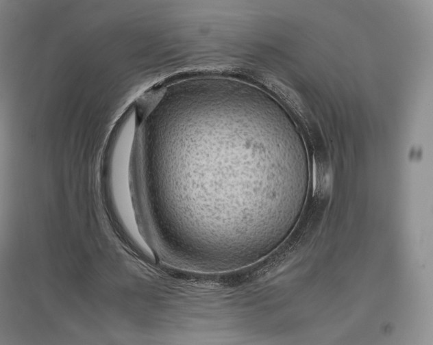 X0000096940483200802221323