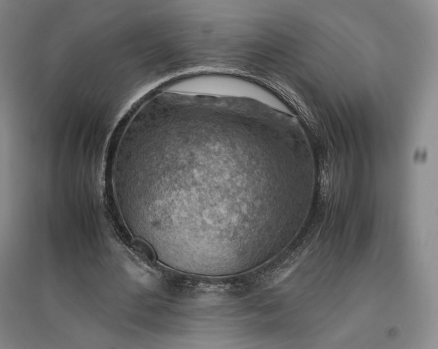 X0000096940484200802221323