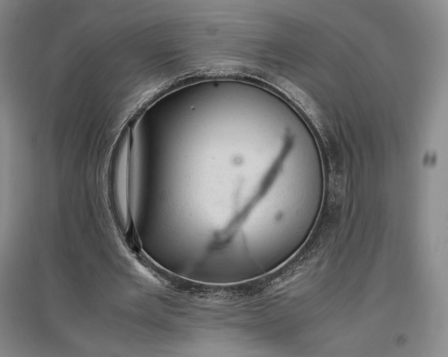 X0000096940485200802221323