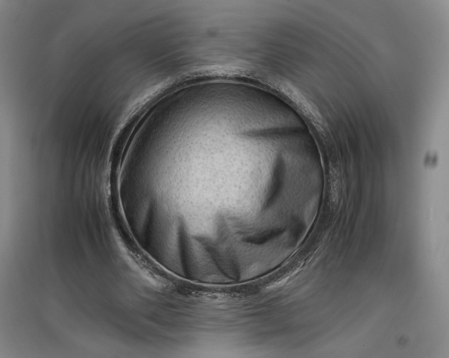 X0000096940486200802221323