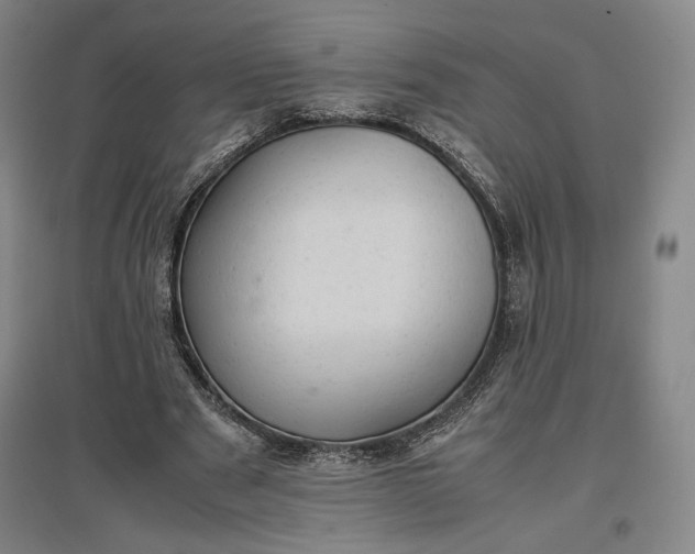 X0000096940489200802221323