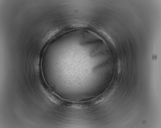 X0000096940490200802221323