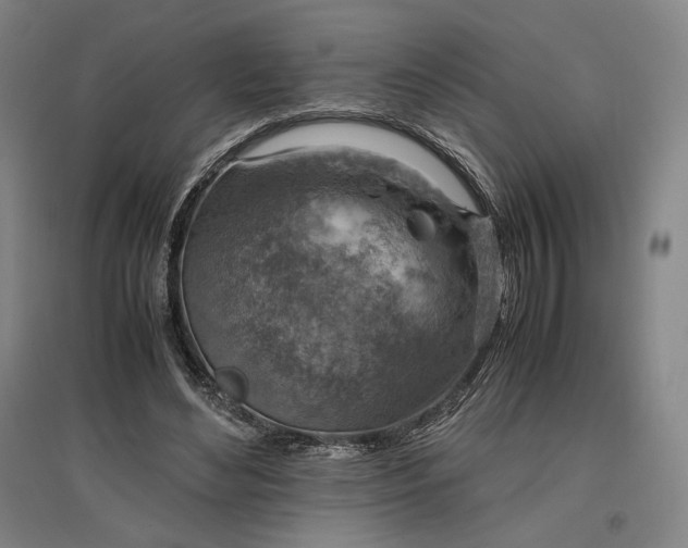 X0000096940492200802221323