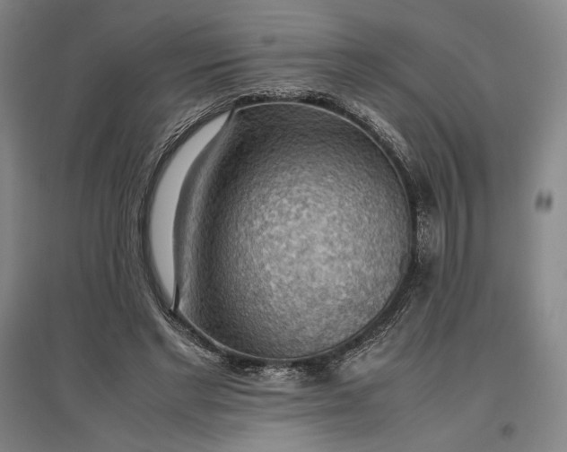 X0000096940493200802221323