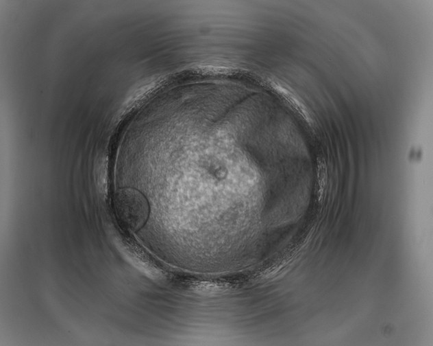 X0000096940494200802221323