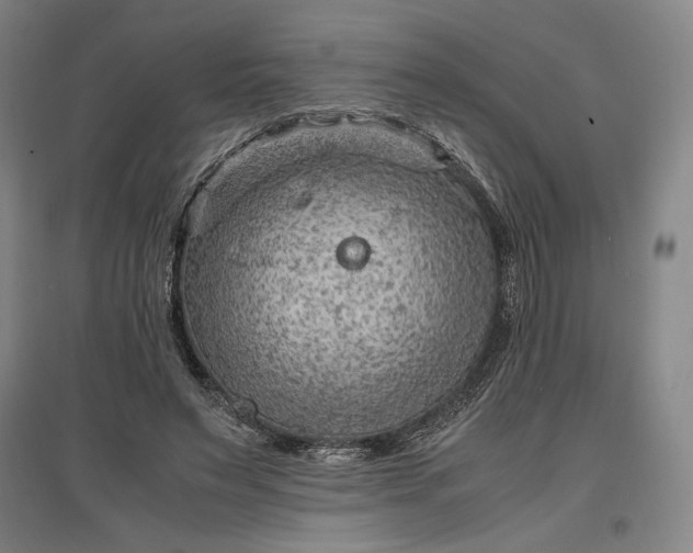 X0000096940495200802221323