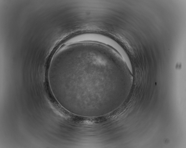 X0000096940496200802221323