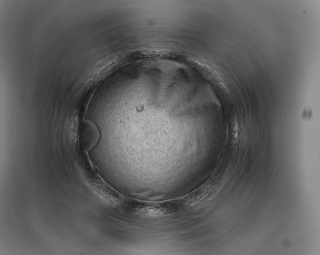 X0000096940498200802221323