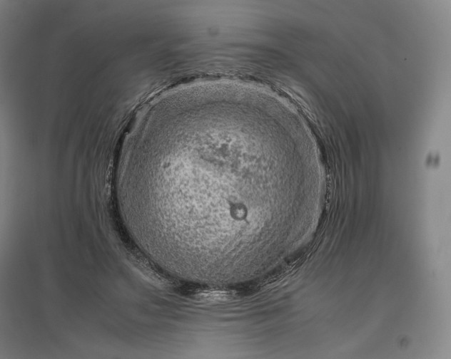 X0000096940499200802221323