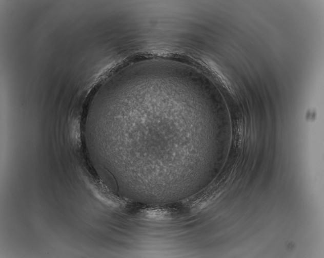 X0000096940500200802221323