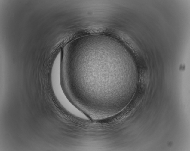 X0000096940501200802221323