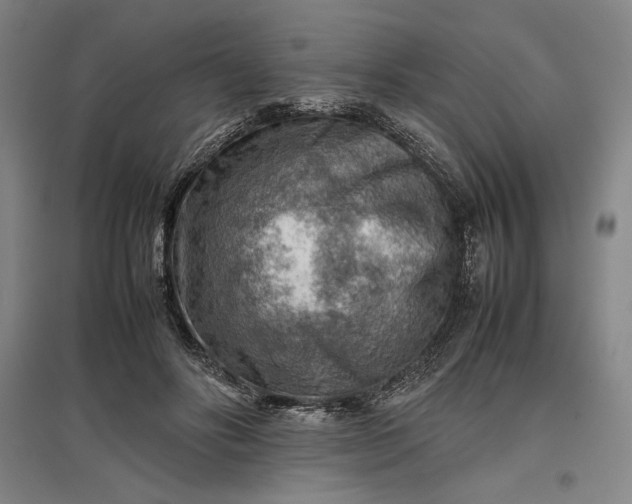 X0000096940502200802221323