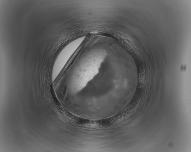 X0000096940503200802221323