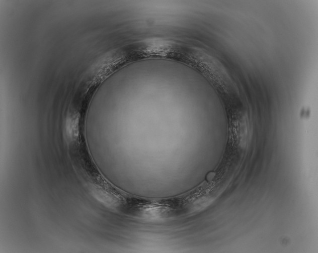 X0000096940504200802221323