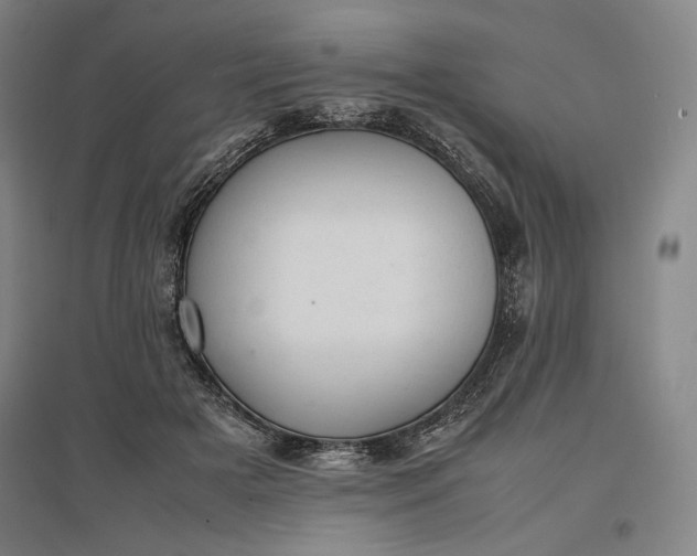 X0000096940505200802221323