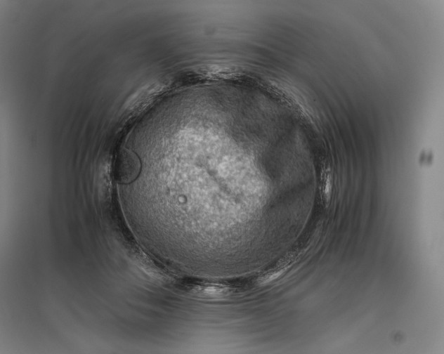 X0000096940506200802221323