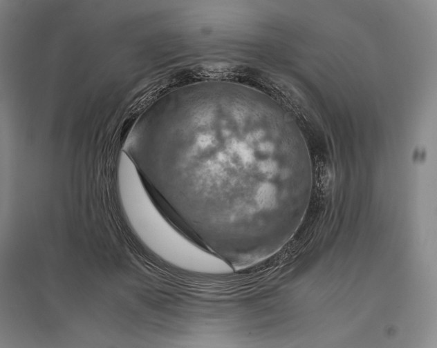 X0000096940507200802221323