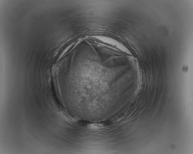 X0000096940508200802221323