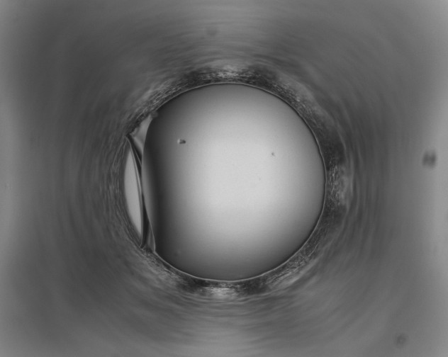 X0000096940509200802221323