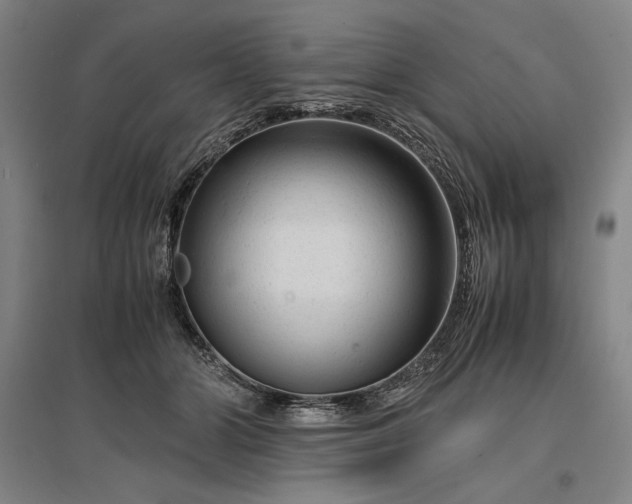 X0000096940510200802221323