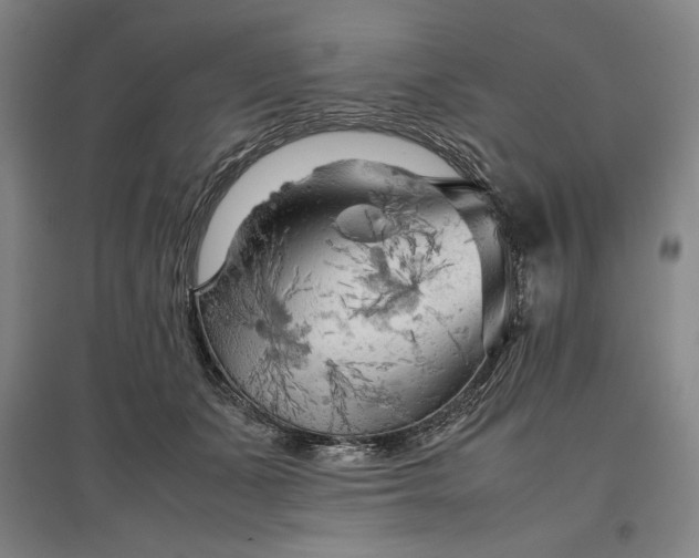 X0000096940511200802221323