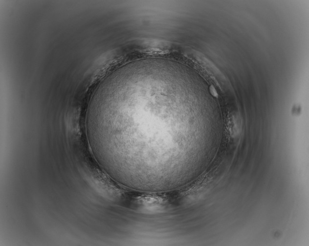 X0000096940512200802221323