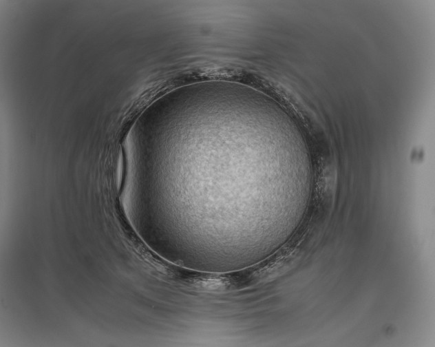 X0000096940513200802221323