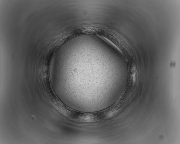 X0000096940514200802221323