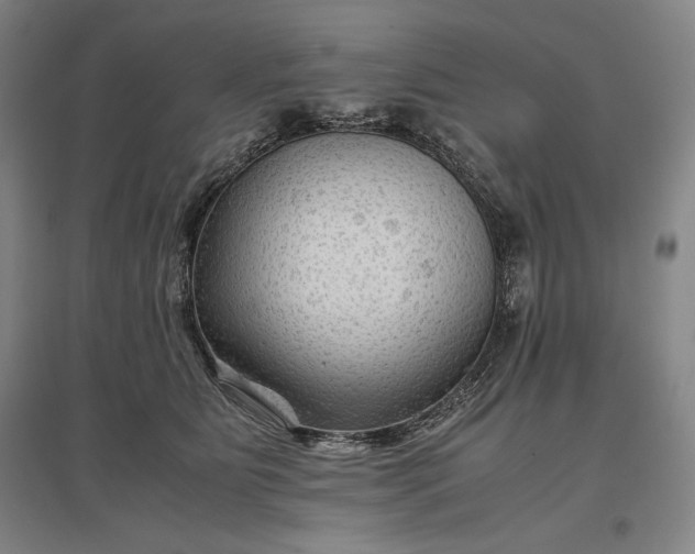 X0000096940515200802221323