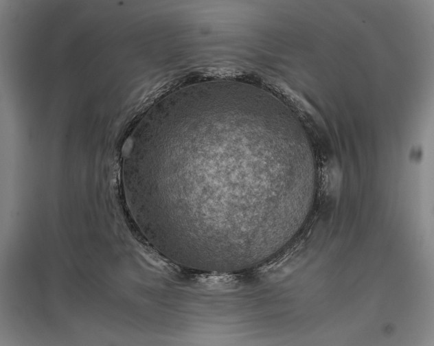 X0000096940517200802221323