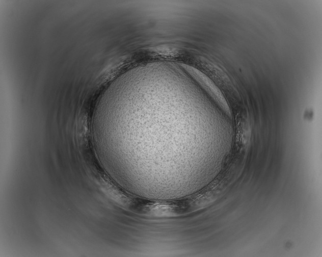 X0000096940518200802221323