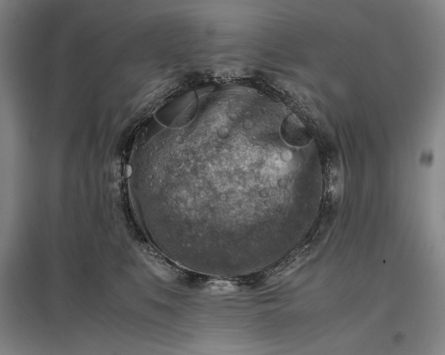 X0000096940519200802221323