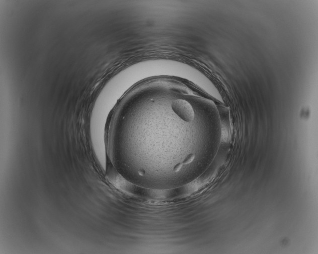 X0000096940520200802221323