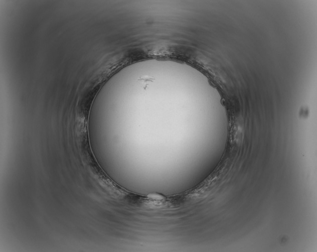 X0000096940521200802221323