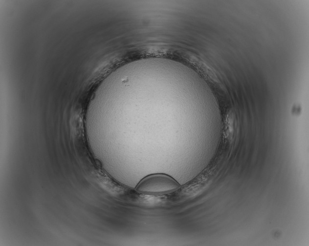 X0000096940522200802221323