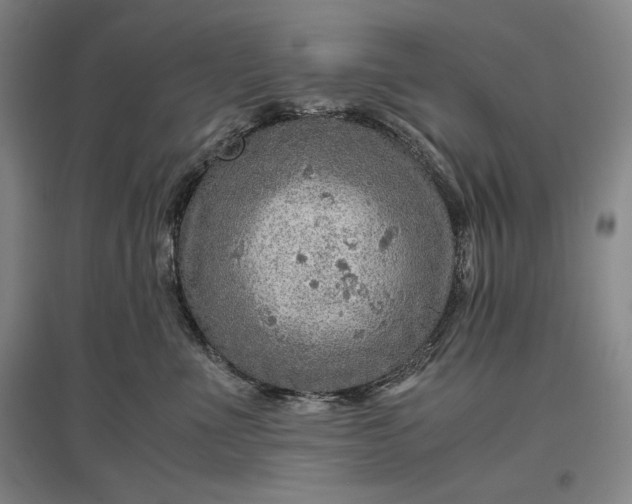 X0000096940523200802221323