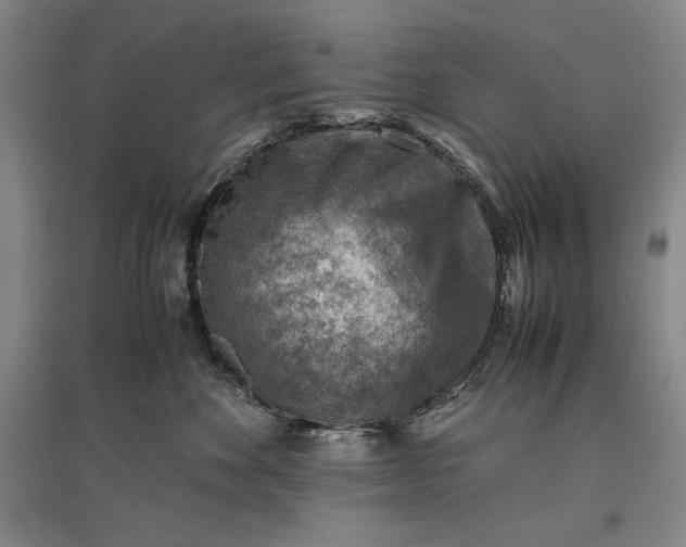 X0000096940524200802221323