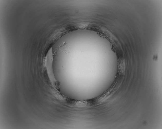 X0000096940525200802221323