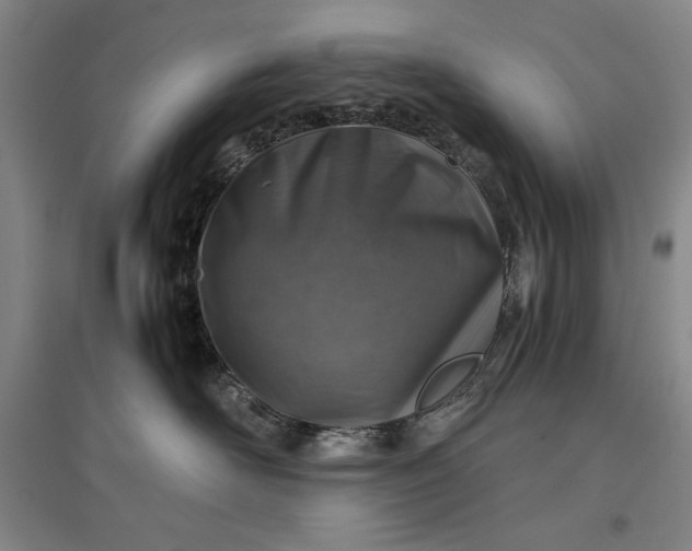 X0000096940526200802221323