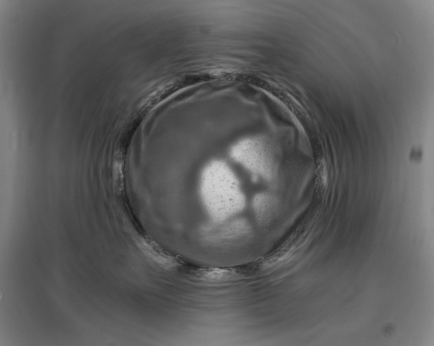 X0000096940527200802221323