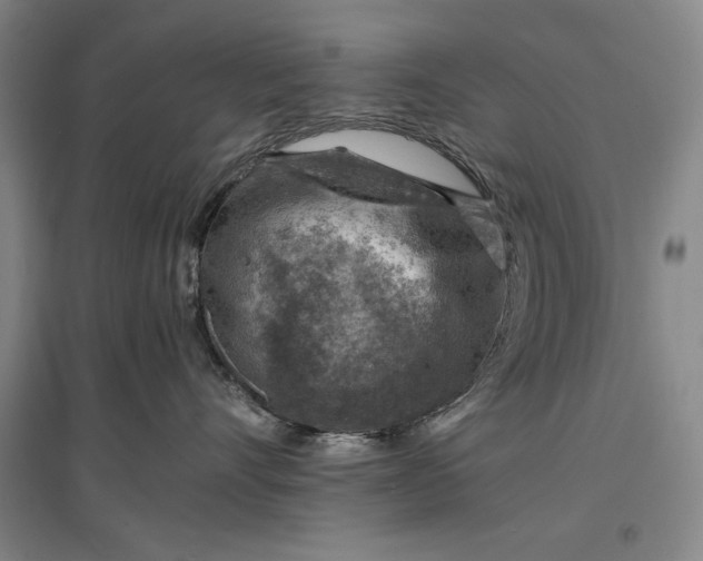 X0000096940528200802221323