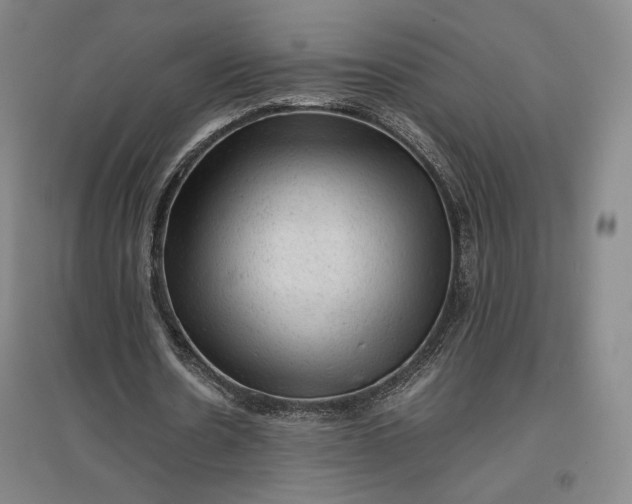 X0000096940530200802221322